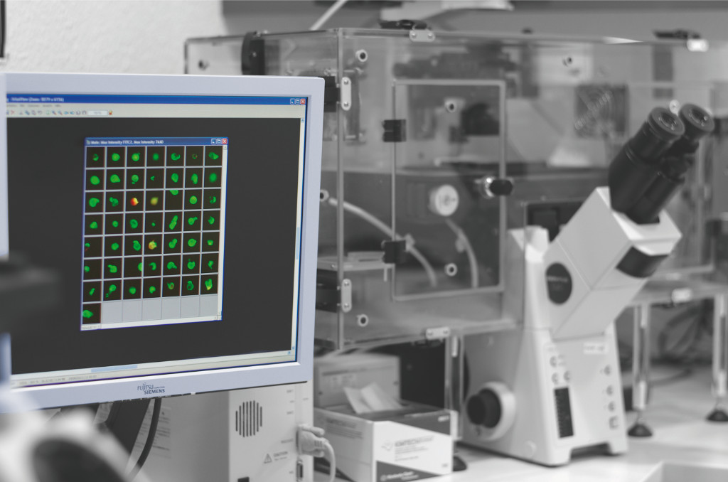 Tumorzellen, Forschung, Therapie, Entwicklung, Patienten