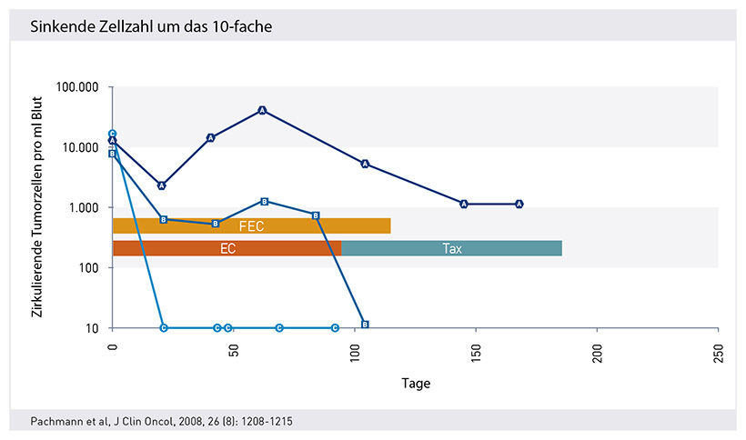 Therapie, maintrac, ,CETC, Tumorzellen, Eigenschaften, Zellen, Erfolgskontrolle,